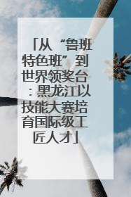 从“鲁班特色班”到世界领奖台：黑龙江以技能大赛培育国际级工匠人才