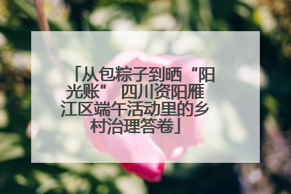 从包粽子到晒“阳光账” 四川资阳雁江区端午活动里的乡村治理答卷