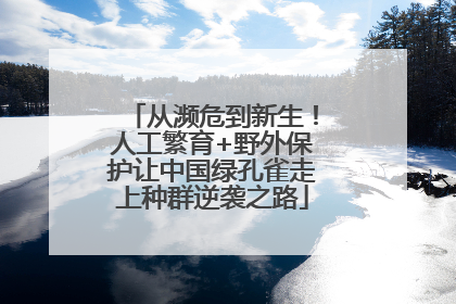 从濒危到新生！人工繁育+野外保护让中国绿孔雀走上种群逆袭之路