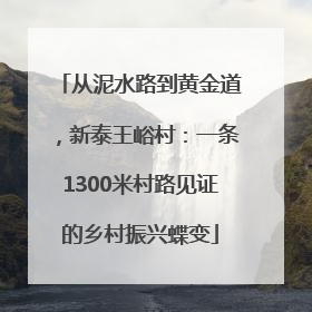从泥水路到黄金道，新泰王峪村：一条1300米村路见证的乡村振兴蝶变
