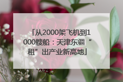 从2000架飞机到1000艘船：天津东疆“租”出产业新高地
