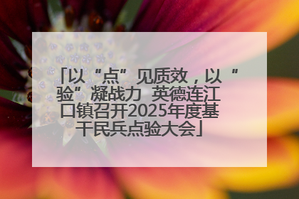以“点”见质效，以“验”凝战力  英德连江口镇召开2025年度基干民兵点验大会