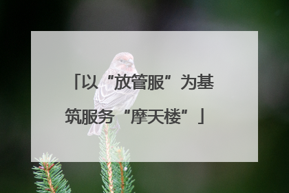 以“放管服”为基筑服务“摩天楼”