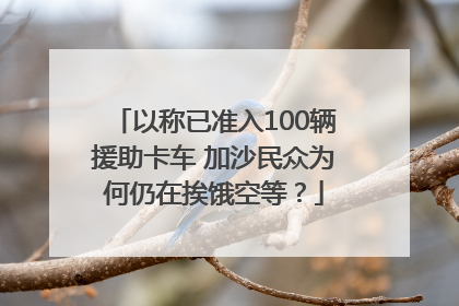 以称已准入100辆援助卡车 加沙民众为何仍在挨饿空等？