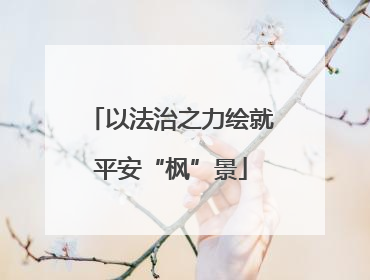 以法治之力绘就平安“枫”景