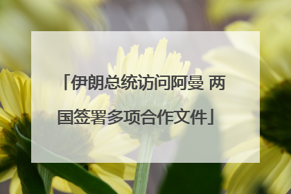 伊朗总统访问阿曼 两国签署多项合作文件