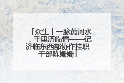 众生丨一脉黄河水，千里济临情——记济临东西部协作挂职干部陈姗姗