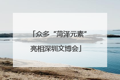 众多“菏泽元素”亮相深圳文博会