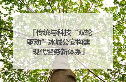 传统与科技“双轮驱动”冰城公安构建现代警务新体系