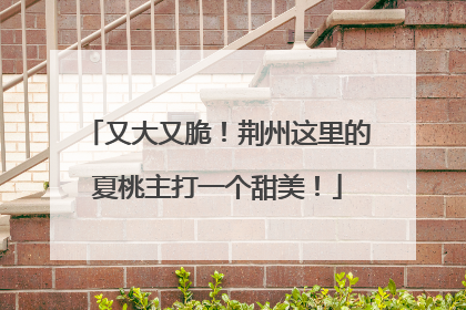 又大又脆！荆州这里的夏桃主打一个甜美！