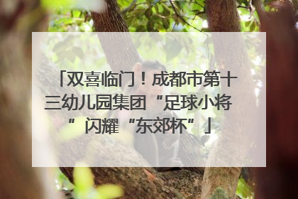 双喜临门！成都市第十三幼儿园集团“足球小将”闪耀“东郊杯”