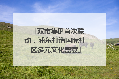 双市集IP首次联动，浦东打造国际社区多元文化盛宴