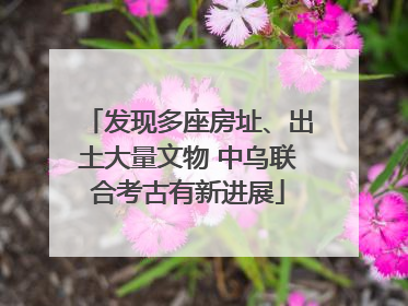 发现多座房址、出土大量文物 中乌联合考古有新进展