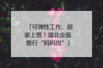 可弹性工作、居家上班！湖北全面推行“妈妈岗”