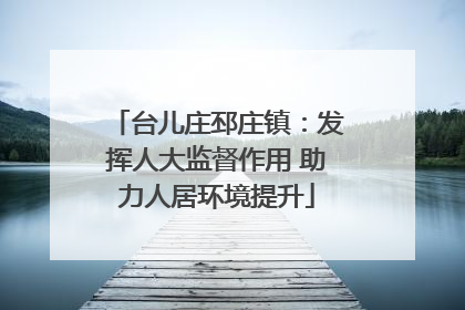台儿庄邳庄镇：发挥人大监督作用 助力人居环境提升