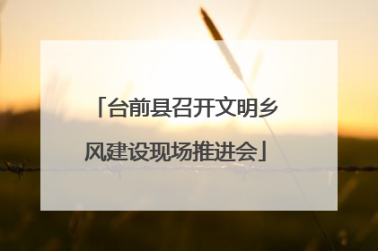 台前县召开文明乡风建设现场推进会