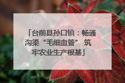 台前县孙口镇：畅通沟渠“毛细血管” 筑牢农业生产根基