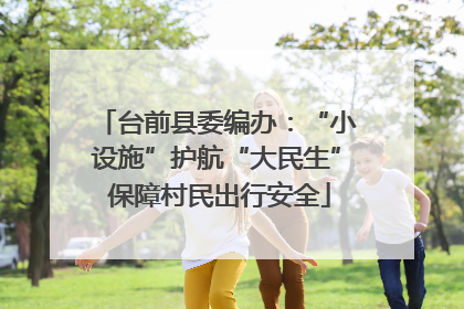 台前县委编办：“小设施”护航“大民生” 保障村民出行安全