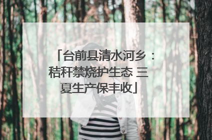 台前县清水河乡：秸秆禁烧护生态 三夏生产保丰收