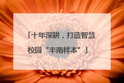 十年深耕，打造智慧校园“丰南样本”