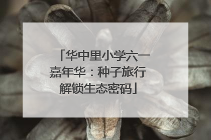 华中里小学六一嘉年华：种子旅行解锁生态密码