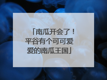 南瓜开会了！平谷有个可可爱爱的南瓜王国