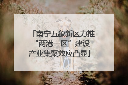 南宁五象新区力推“两港一区”建设 产业集聚效应凸显