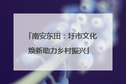 南安东田：圩市文化焕新助力乡村振兴