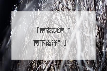 南安制造“再下南洋”