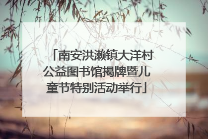 南安洪濑镇大洋村公益图书馆揭牌暨儿童节特别活动举行