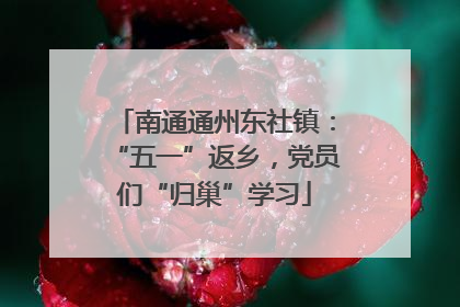 南通通州东社镇：“五一”返乡，党员们“归巢”学习