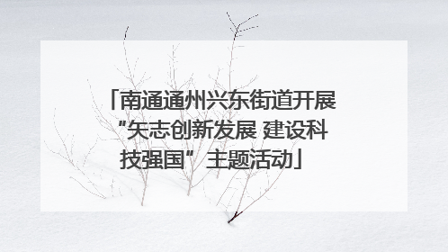 南通通州兴东街道开展“矢志创新发展 建设科技强国”主题活动