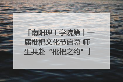 南阳理工学院第十一届枇杷文化节启幕 师生共赴“枇杷之约”