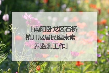 南阳卧龙区石桥镇开展居民健康素养监测工作
