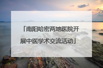 南阳哈密两地医院开展中医学术交流活动