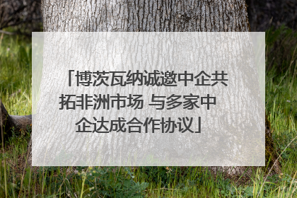 博茨瓦纳诚邀中企共拓非洲市场 与多家中企达成合作协议