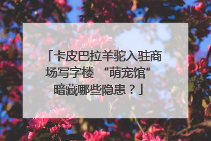 卡皮巴拉羊驼入驻商场写字楼 “萌宠馆”暗藏哪些隐患？