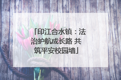 印江合水镇：法治护航成长路 共筑平安校园墙