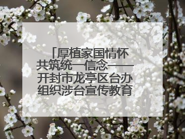 厚植家国情怀 共筑统一信念——开封市龙亭区台办组织涉台宣传教育进校园活动