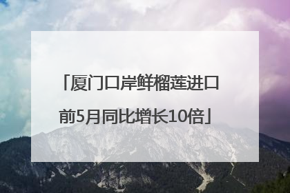 厦门口岸鲜榴莲进口 前5月同比增长10倍