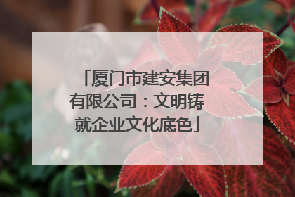 厦门市建安集团有限公司：文明铸就企业文化底色