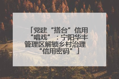 党建“搭台”信用“唱戏”：宁阳华丰管理区解锁乡村治理“信用密码”
