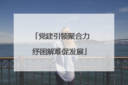 党建引领聚合力 纾困解难促发展