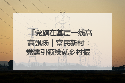 党旗在基层一线高高飘扬｜富民新村：党建引领绘就乡村振兴美丽画卷