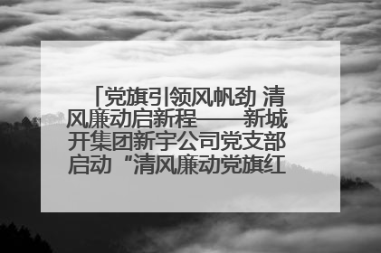 党旗引领风帆劲 清风廉动启新程——新城开集团新宇公司党支部启动“清风廉动党旗红”系列活动