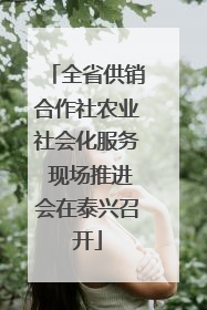 全省供销合作社农业社会化服务 现场推进会在泰兴召开