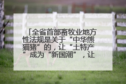 全省首部畜牧业地方性法规是关于“中华熊猫猪”的，让“土特产”成为“新国潮”，让“农产品”升格为“城市IP”