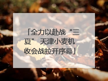 全力以赴战“三夏” 天津小麦机收会战拉开序幕