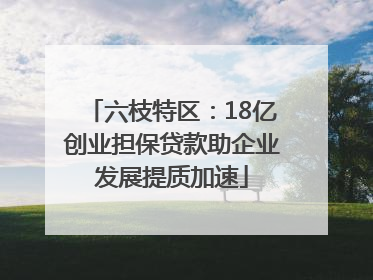 六枝特区：18亿创业担保贷款助企业发展提质加速