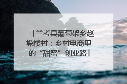 兰考县葡萄架乡赵垛楼村：乡村电商里的“甜蜜”创业路